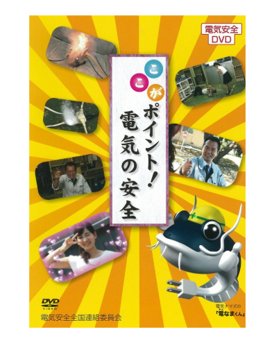 ここがポイント！電気の安全